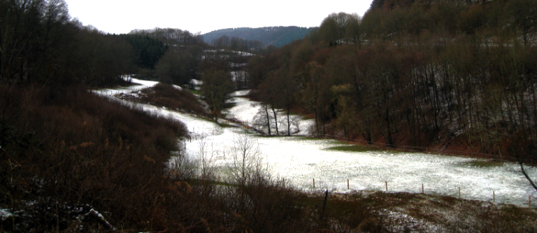 Von Leverkusen nach Köln-Thielenbruch