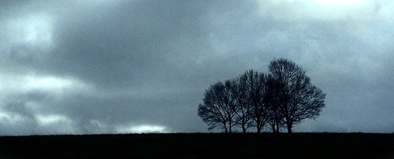 Von Scheven nach Mechernich