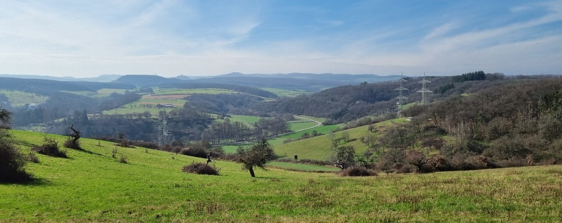 Von Untereschbach über Schloss Georghausen nach Schmitzhöhe