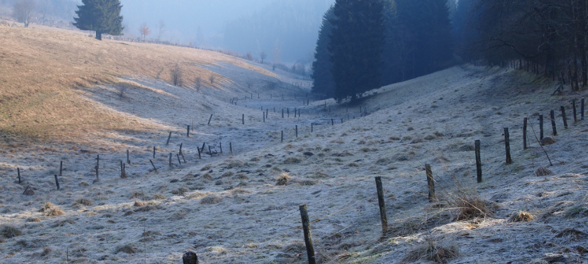 Herbst-Zeitlose-Wanderung am 17.01.2024 fällt wetterbedingt aus!