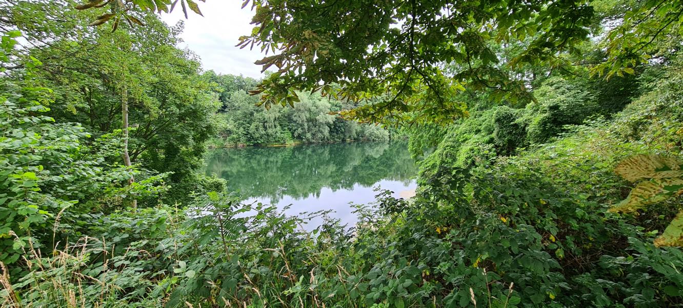 Rundwanderung bei Seelscheid, Streifzug 19: Kräuterweg