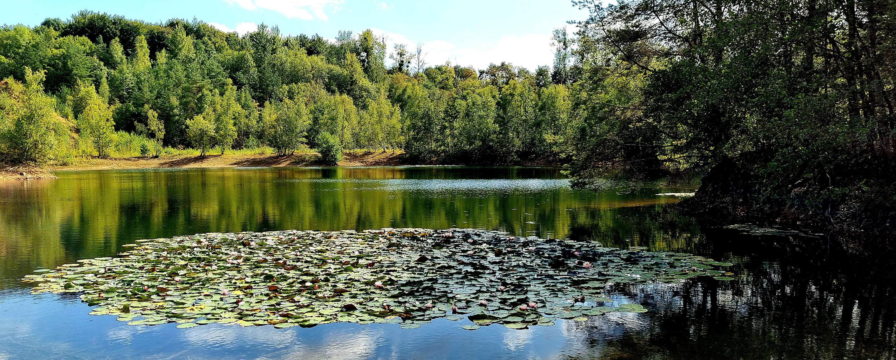 Von Bensberg nach Thielenbruch