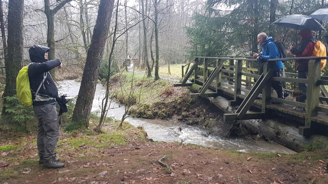 Von Moitzfeld und Immekeppel nach Ehrenfeld