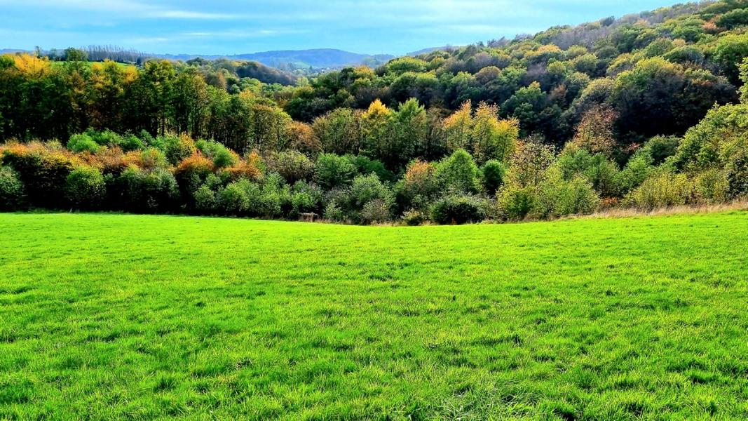 Von Untereschbach nach Herkenrath