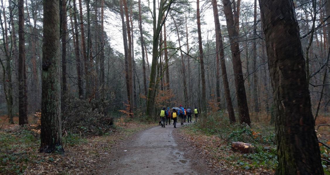 Von Honrath nach Köln-Königsforst