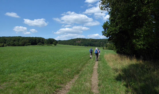 Streifzug durchs Bergische - auf dem Bierweg bei Bielstein